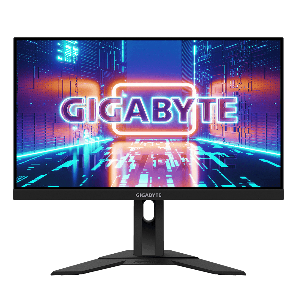 Gigabyte RTX 3090 Turbo 24G + Gigabyte GP-G24F-AP 24” Gaming Monitor