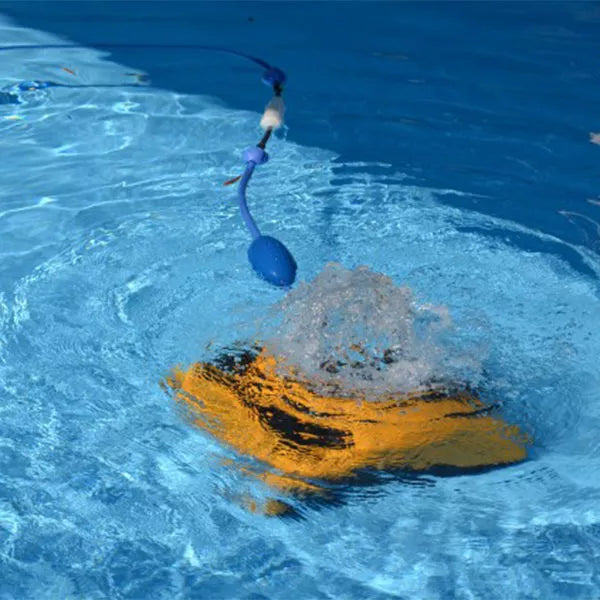 Dolphin W20 Robotic Pool Cleaner from 20 cm Water Depth Commercial Line Remote Control